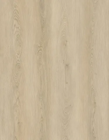 SPC Flooring AE 213